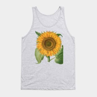 Sunflower by Basilius Besler Tank Top